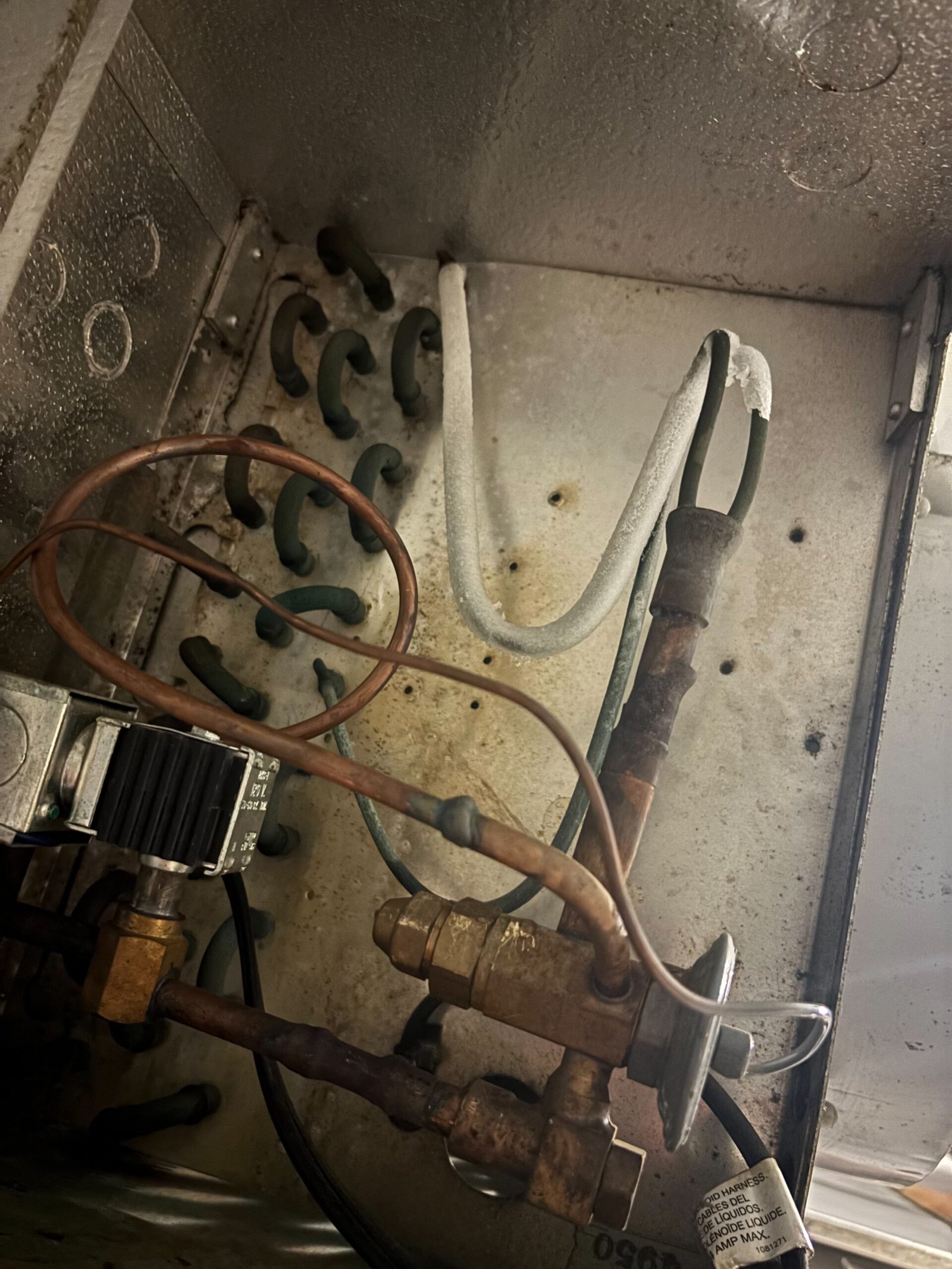 Chambre congélateur